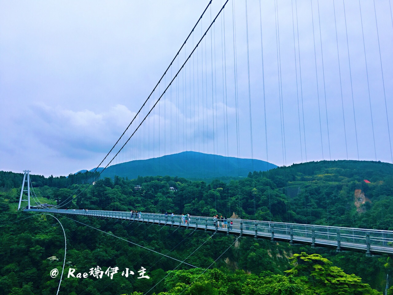 吊橋】
日本最高最長的人行天橋,站在橋上往下看還是挺震撼的~&