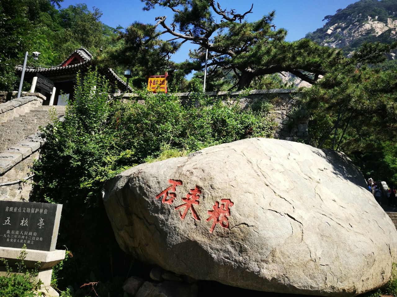 泰山五大夫松攻略,泰山五大夫松門票/遊玩攻略/地址/圖片/門票價格