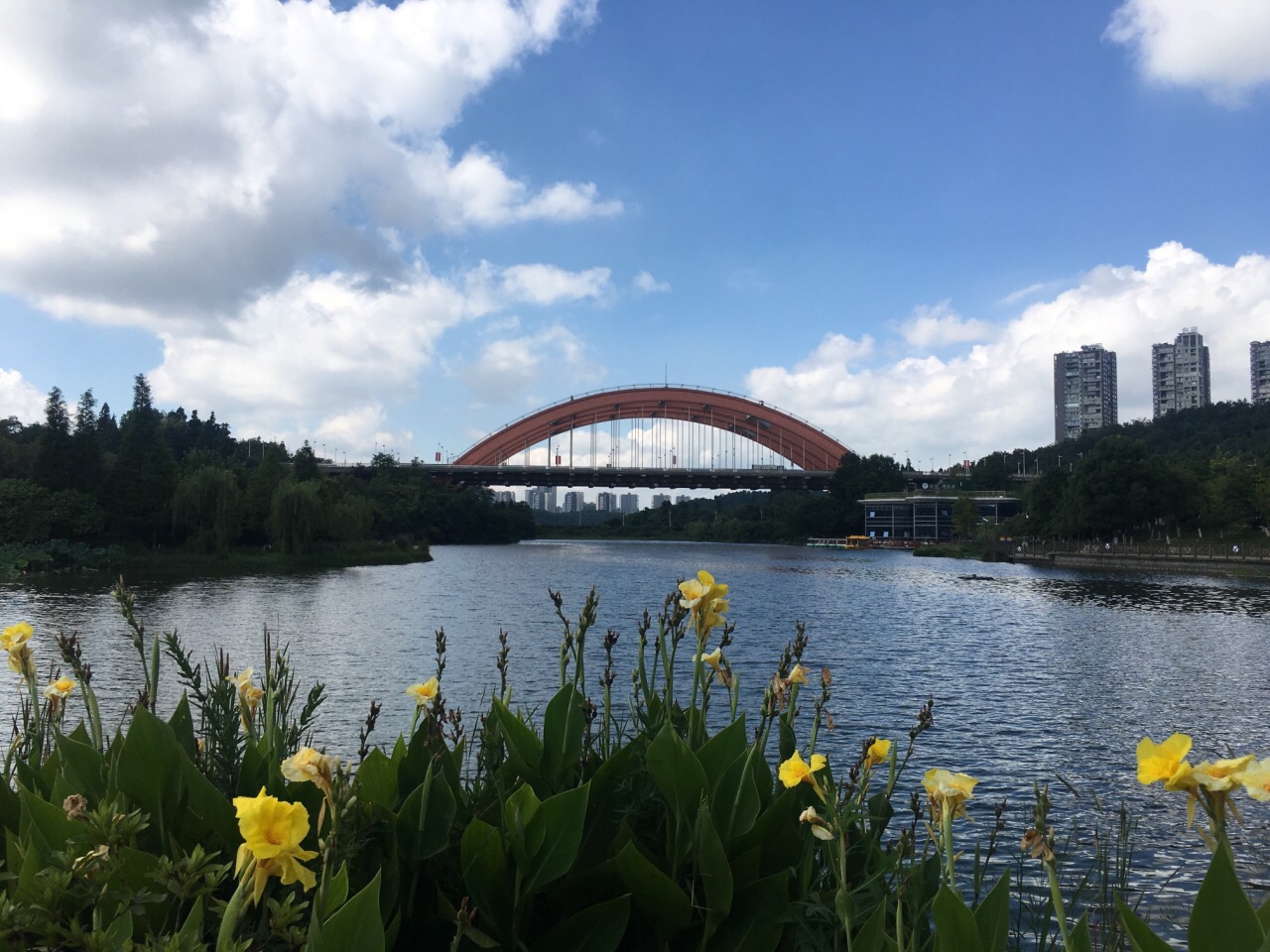 游贵州|“桥”瞧贵州天际的彩虹-贵阳网