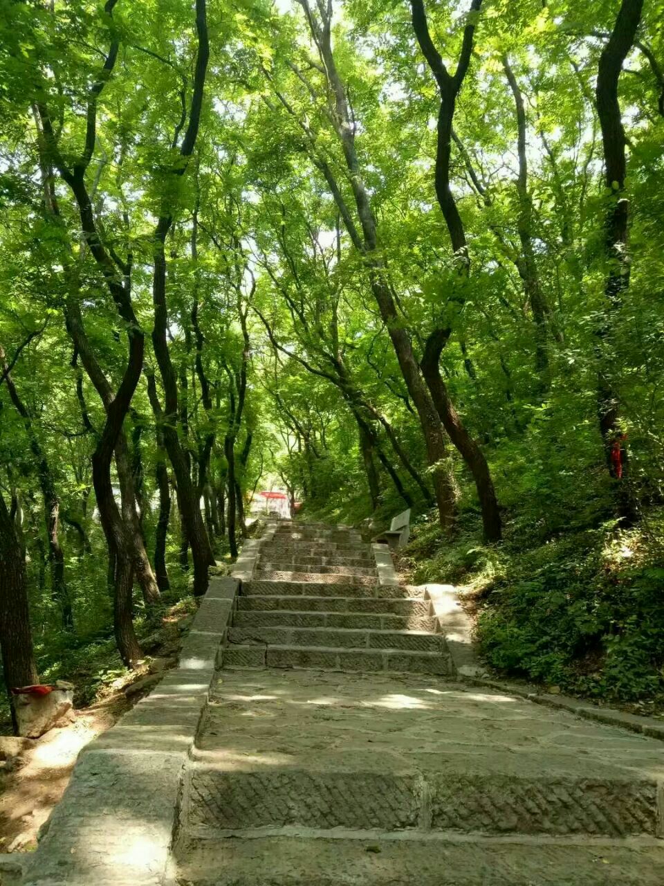 棗莊抱犢崮國家森林公園好玩嗎,棗莊抱犢崮國家森林公園景點怎麼樣