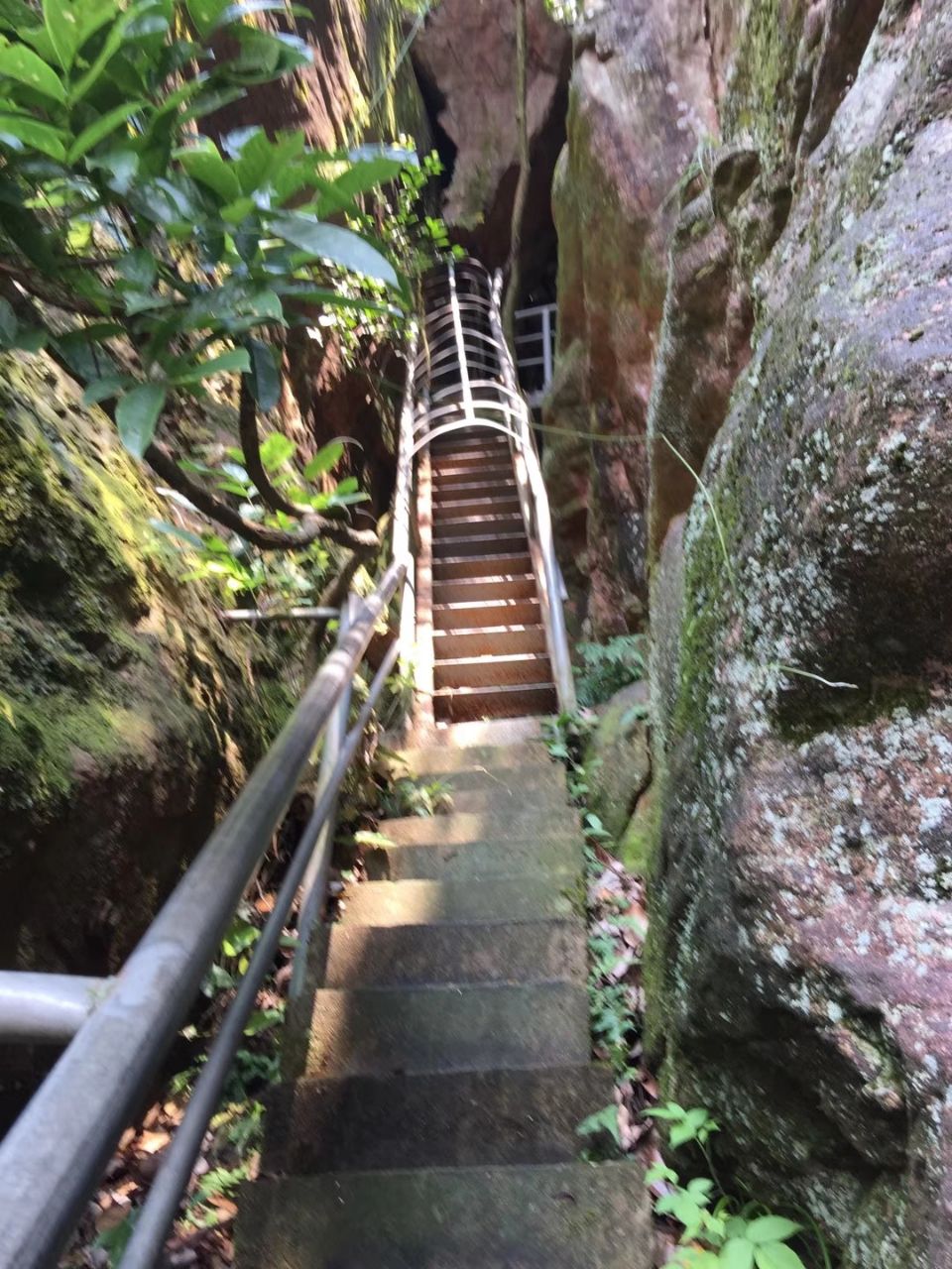 【携程攻略】武义寿仙谷景点,寿仙谷在金华武义,是个aaa景区,门票30元