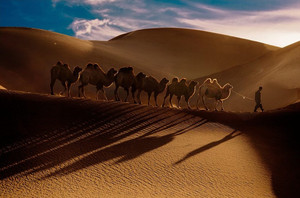 南疆游记图文-南疆穿越塔克拉玛干沙漠11游