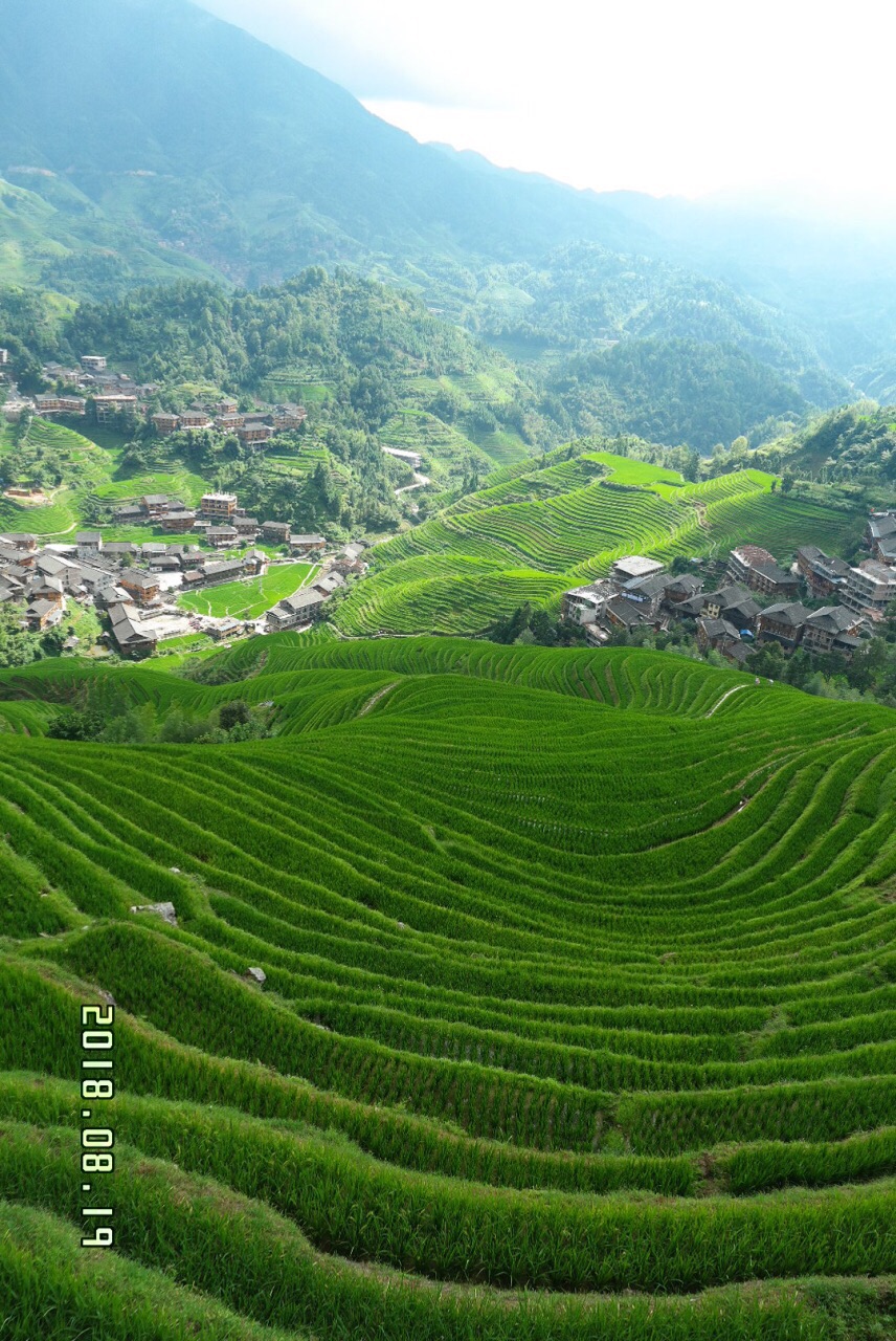 平安壮族梯田旅游景点攻略图