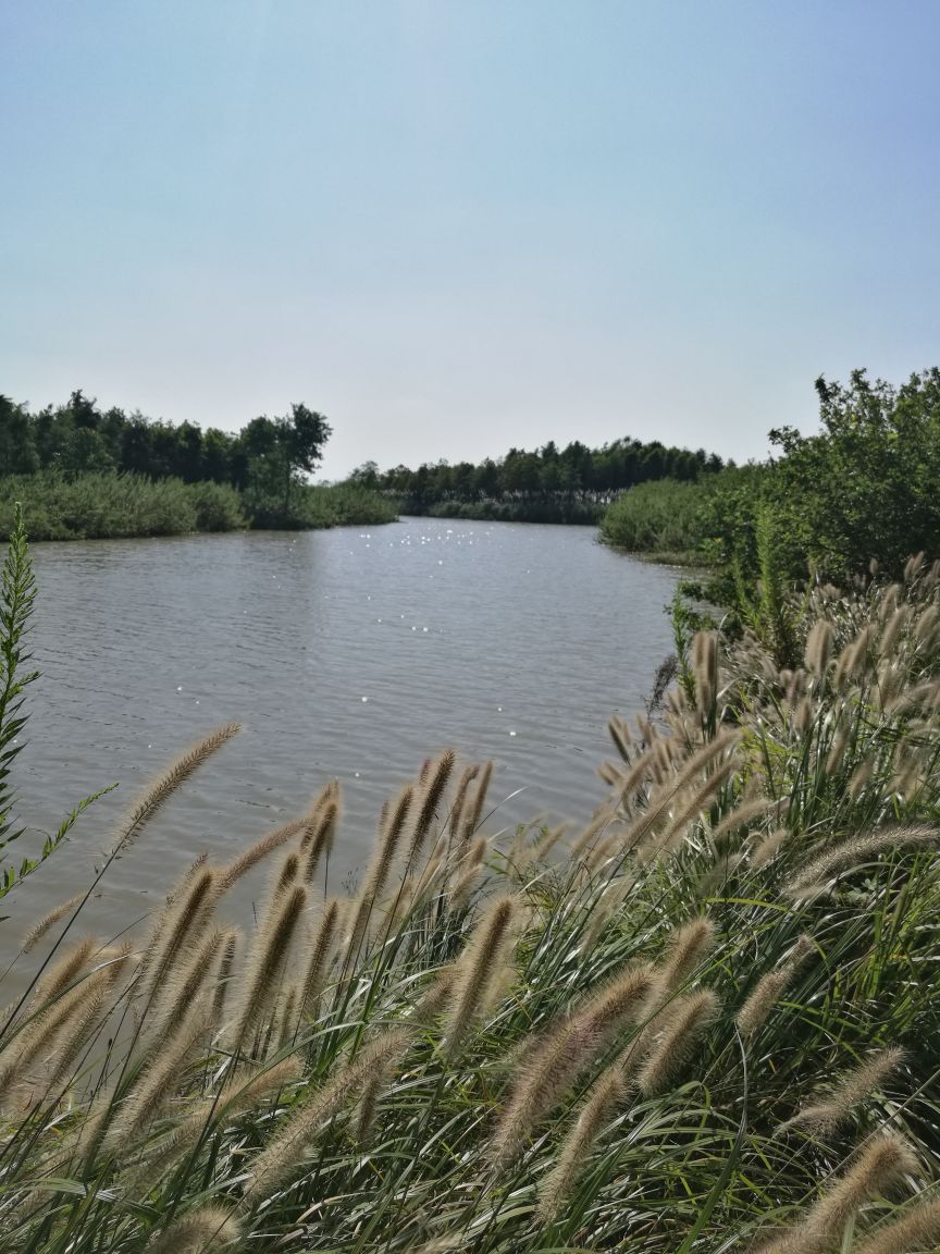 2019东滩湿地公园_旅游攻略_门票_地址_游记点评,崇明旅游景点推荐