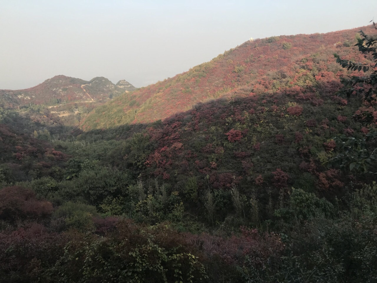 2023竹林长寿山游玩攻略,虽然自然风景不错，但人造的...【去哪儿攻略】
