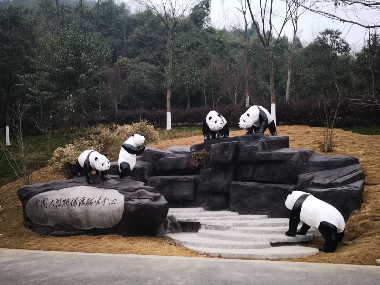 2020熊猫乐园-旅游攻略-门票-地址-问答-游记点评，都江堰旅游旅游景点推荐-去哪儿攻略