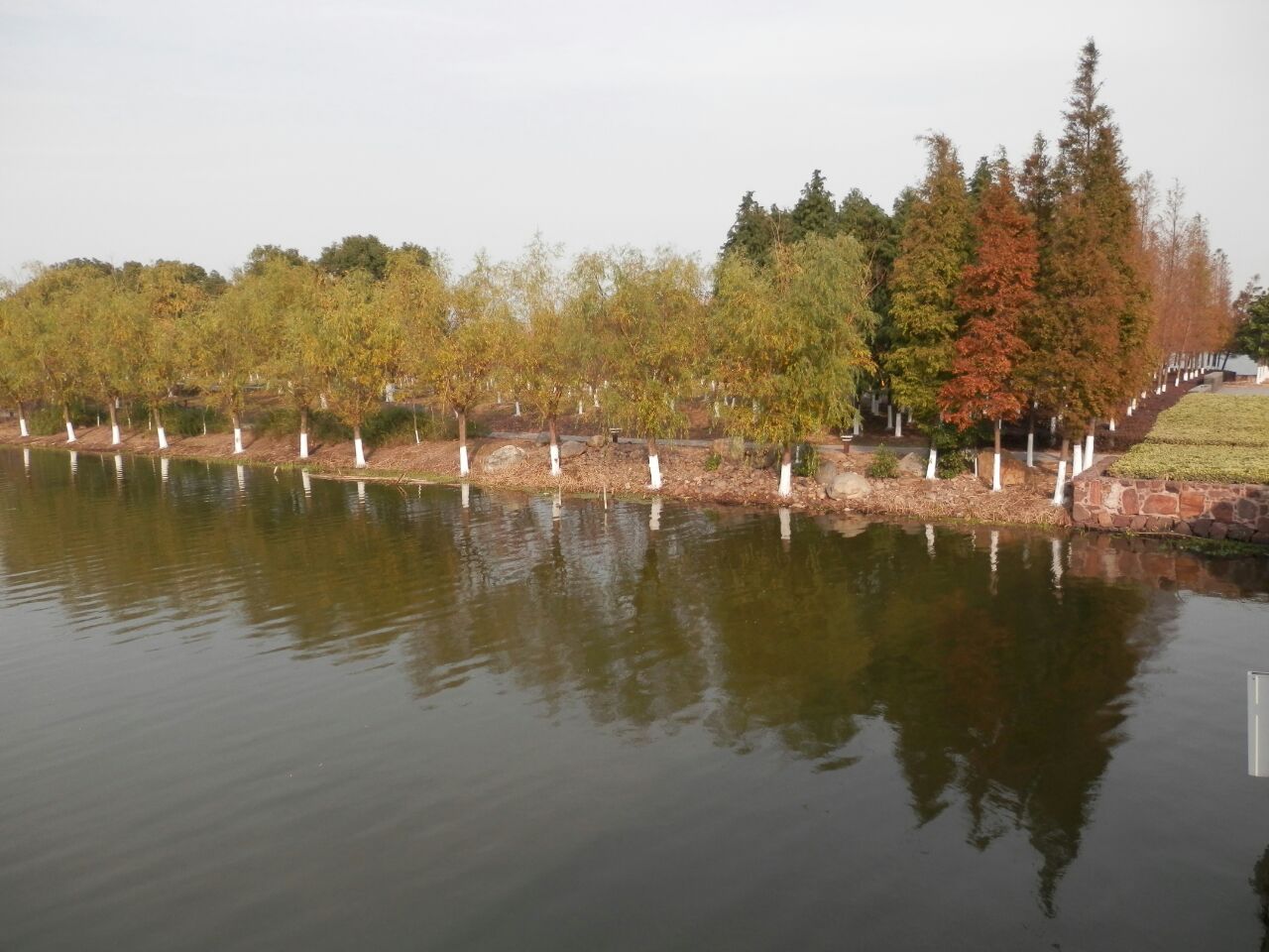 【携程攻略】莆田白塘湖公园景点,“白塘秋月”是莆田二十四景之一，公园景色一般，湖很大，适合附近的…