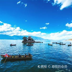 旅游攻略大理洱海 100k10000000pflh0FF09_R_300_300.jpg?v=20190418_23_58