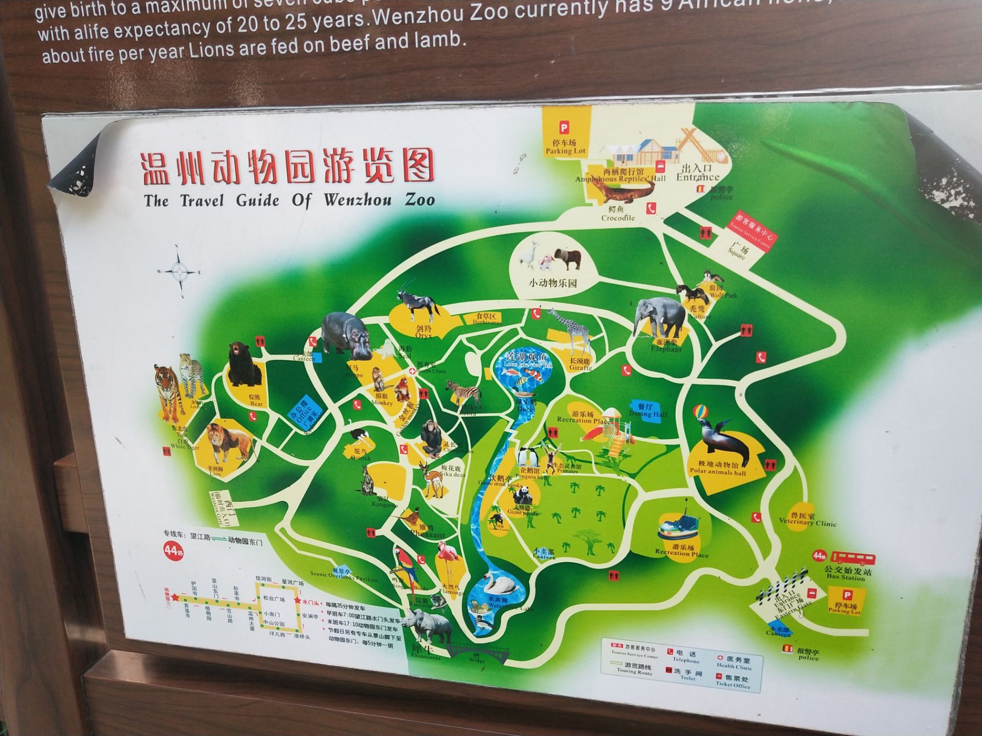 温州动物园地图最清晰图片