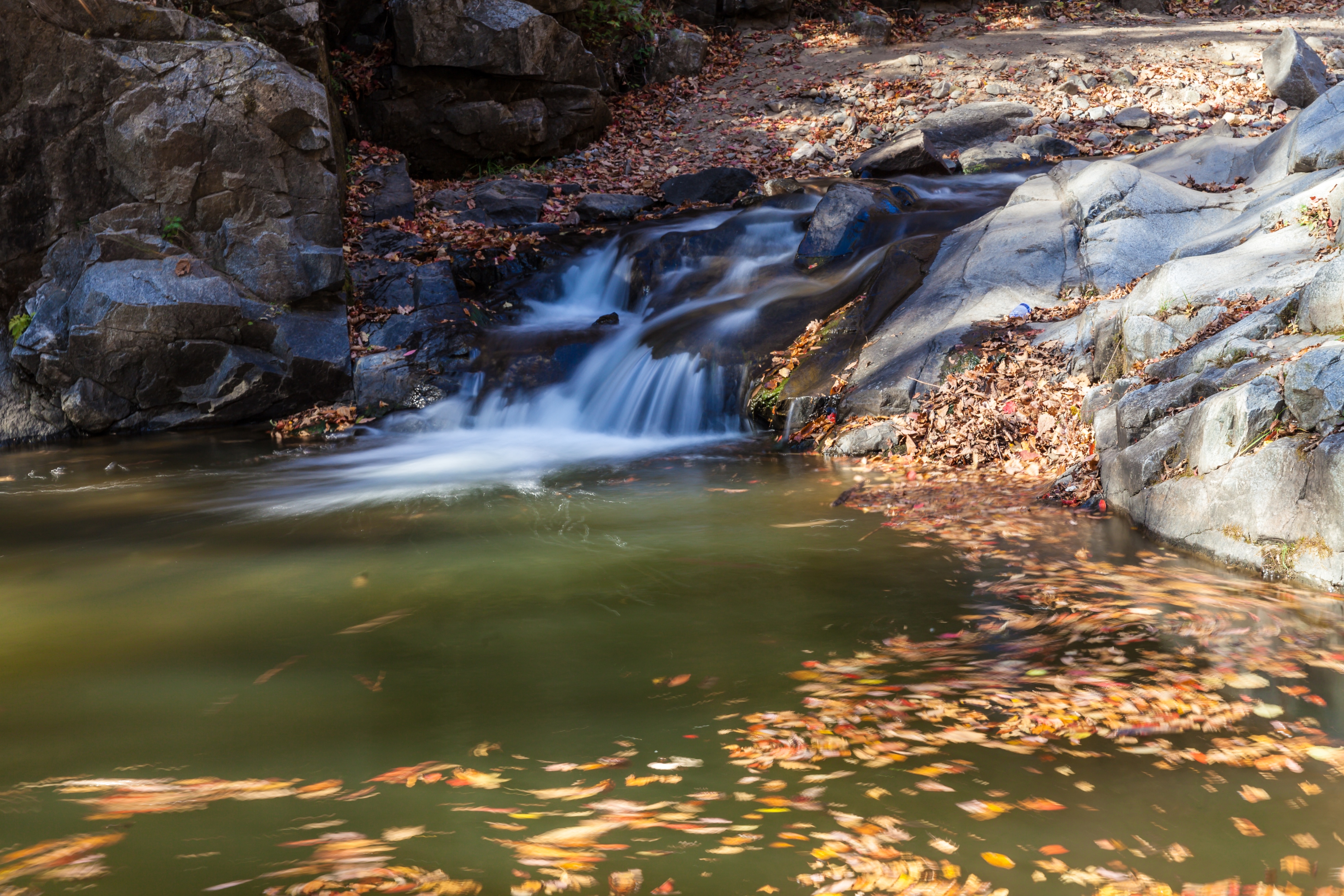 1-Day Fengcheng Tour: Pushi River Forest Park's tranquility, Phoenix Mountain's grandeur