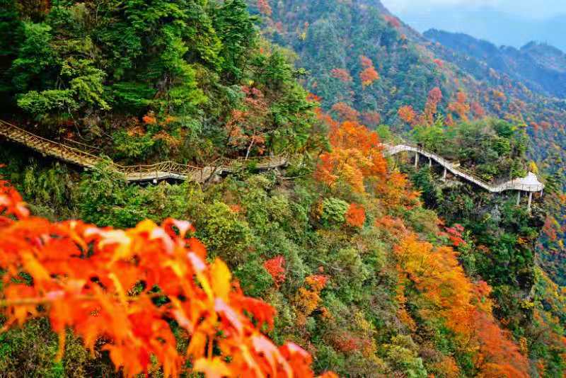 巴山大峽谷旅遊景點攻略圖