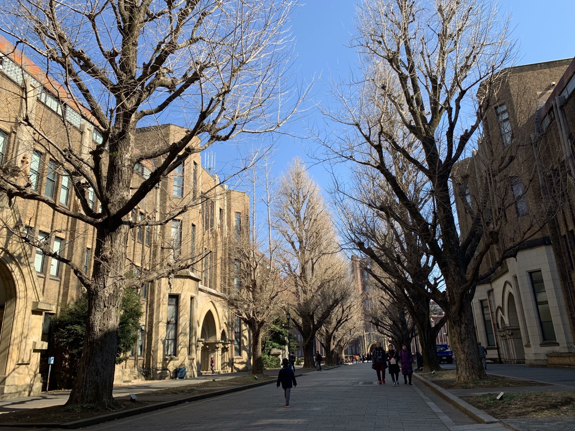 東京大學