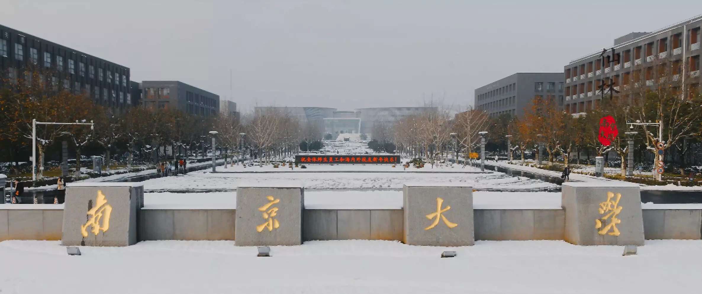 2021南京大学鼓楼校区游玩攻略,阳光正好，散步在校园林荫道...【去哪儿攻略】
