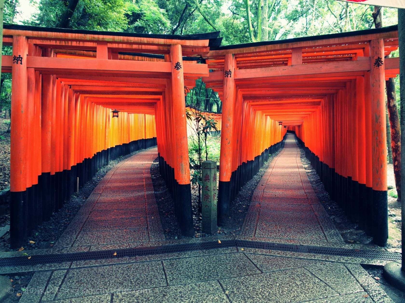 京都伏见稻荷 千本鸟居的绝美风景-京都旅游攻略-游记-去哪儿攻略