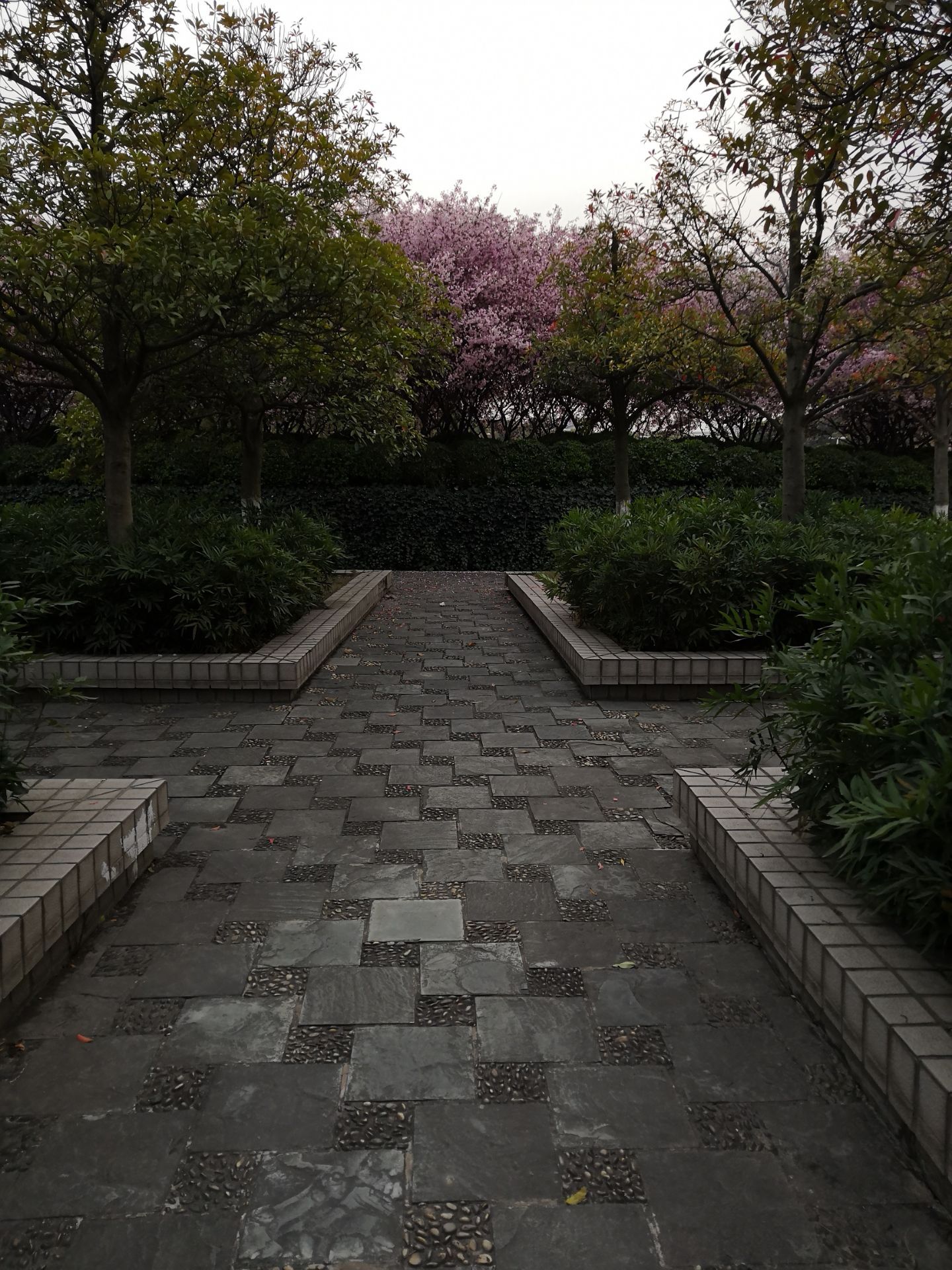 2021奥托植物园游玩攻略,.面的植物可能是主要是以药.【去哪儿攻略】