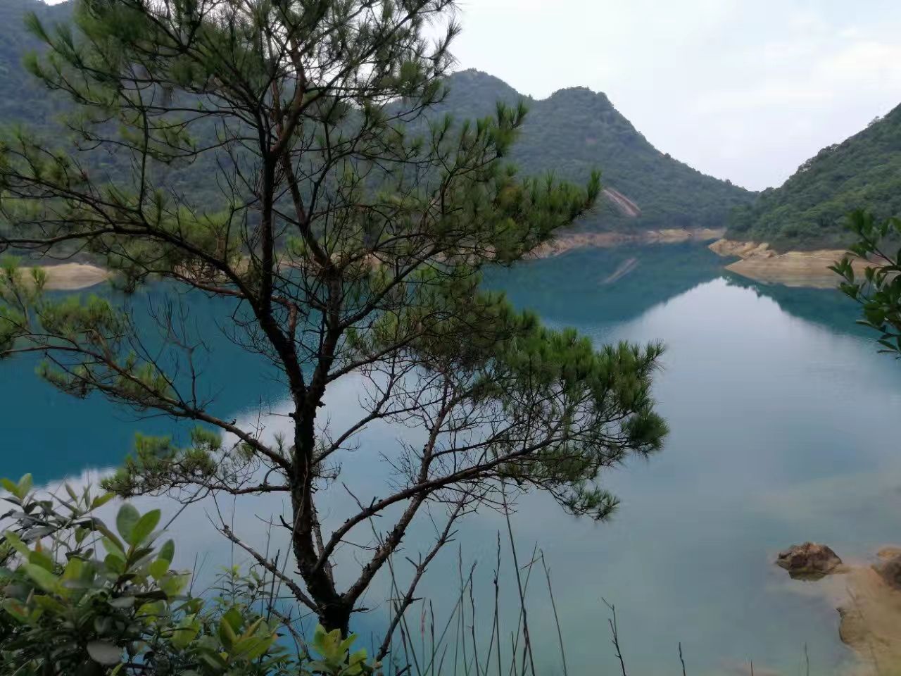 2025牛牯嶂生态露营地玩乐攻略,牛牯嶂生态露营地是众多驴友