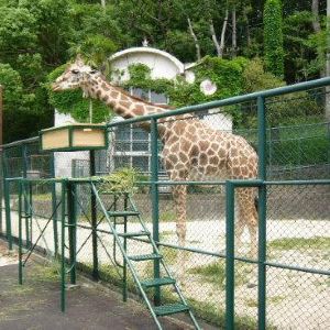 福冈市动物园fukuoka zoo