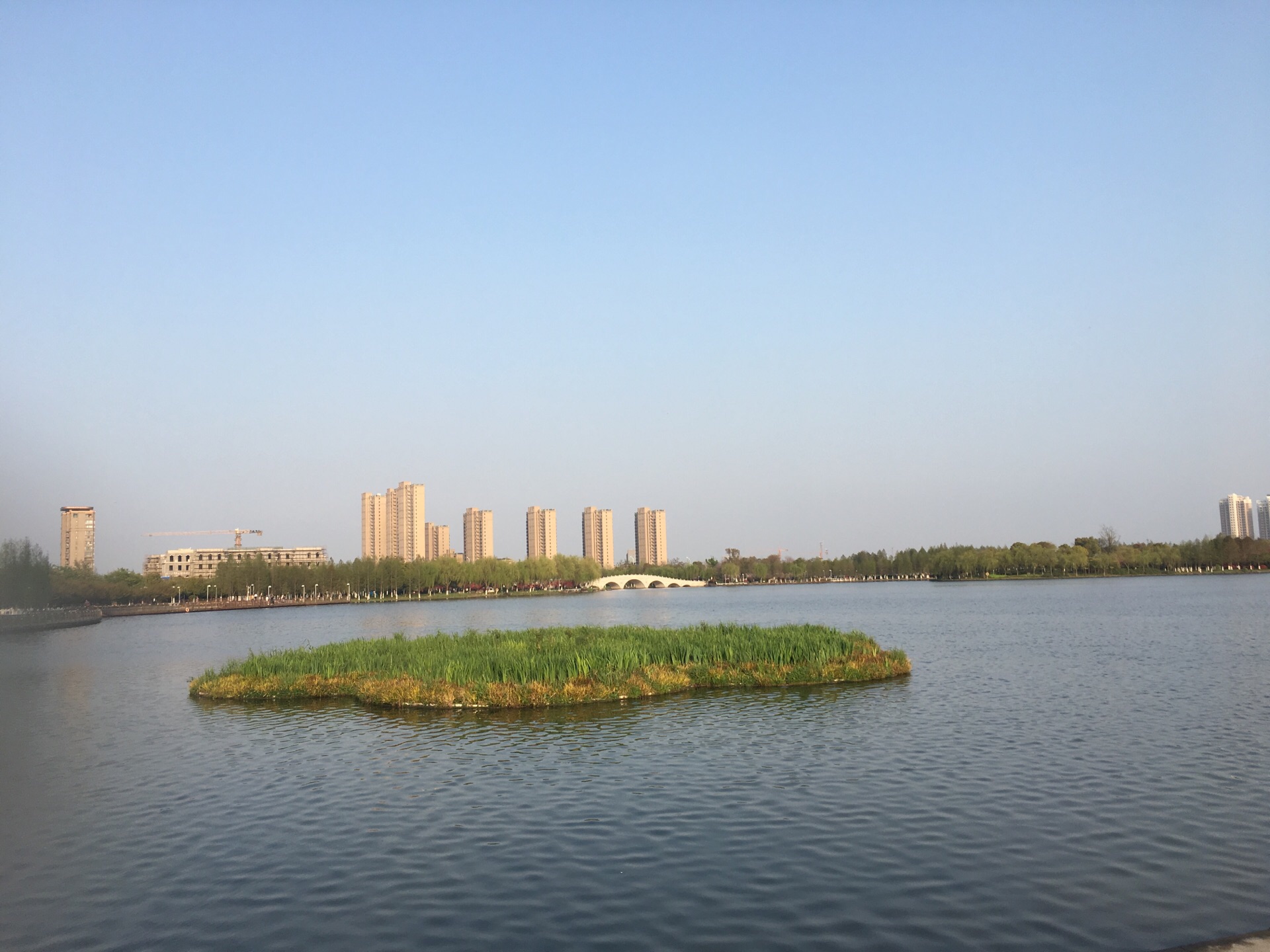 2022镜湖公园游玩攻略,镜湖公园位于北京西路，安徽...【去哪儿攻略】