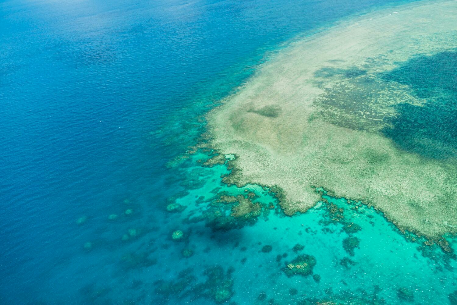 诺曼外堡礁直升机观景 & 游船半日游（凯恩斯出发） - Klook客路