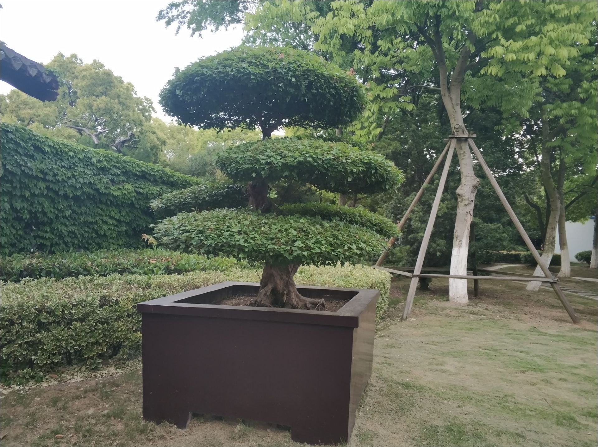 泰州盆景艺术展览馆,位于泰州市海陵区公园路20号的泰山公园内右侧,馆