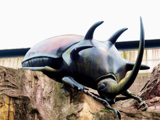 华希昆虫博物馆