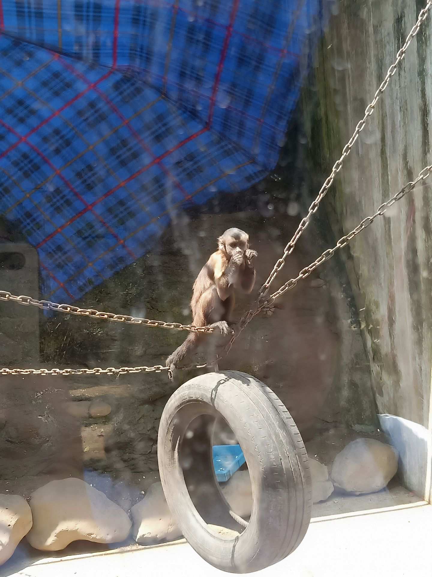 嵊州虎居动物园 4.0分  点评 直线距离5.4km