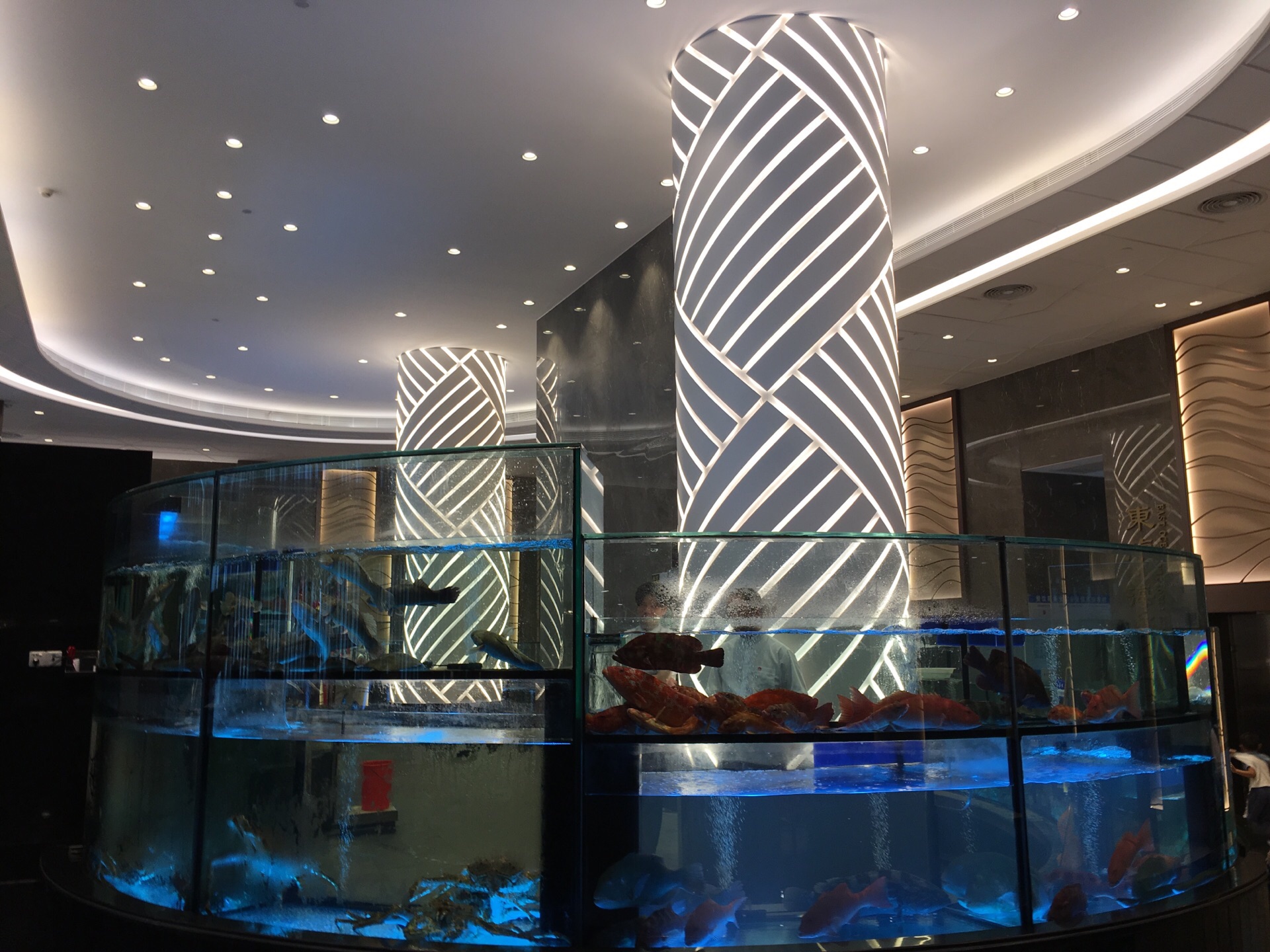 【携程美食林】东莞东海海都酒家(南城店)餐馆,这家餐厅是误打误撞