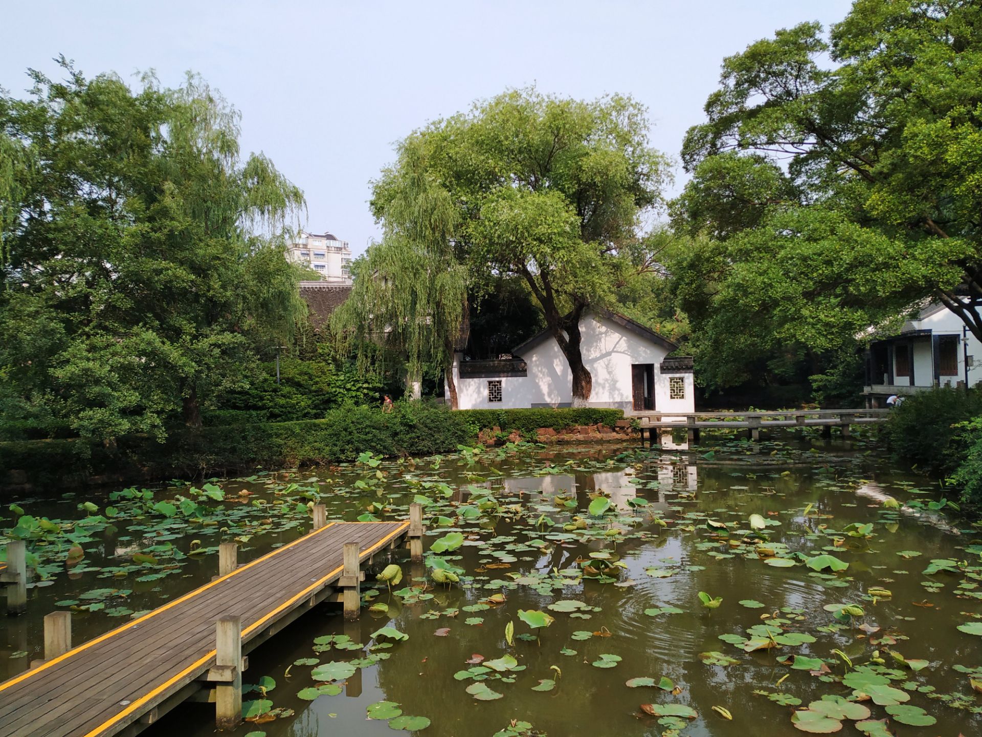 常州紅梅公園好玩嗎,常州紅梅公園景點怎麼樣_點評_評價【攜程攻略】