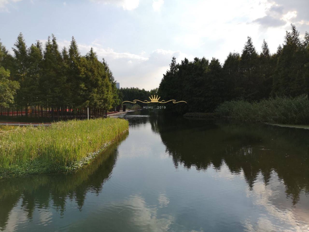 2019世博后滩湿地公园-旅游攻略-门票-地址-问答-游记点评，上海旅游旅游景点推荐-去哪儿攻略