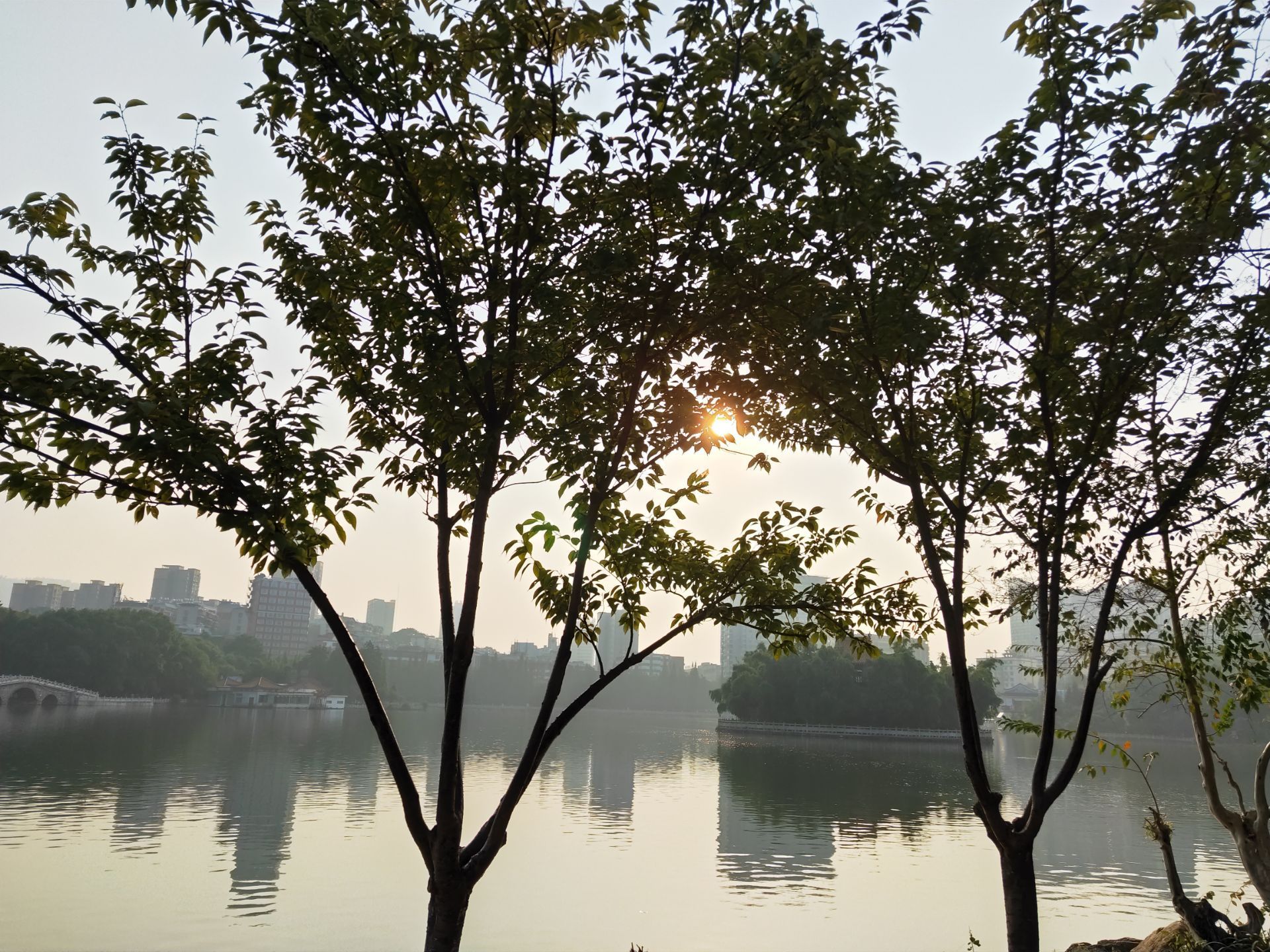 2021年，武汉全面打造“湿地花城”，还将建120个公园_武汉_新闻中心_长江网_cjn.cn