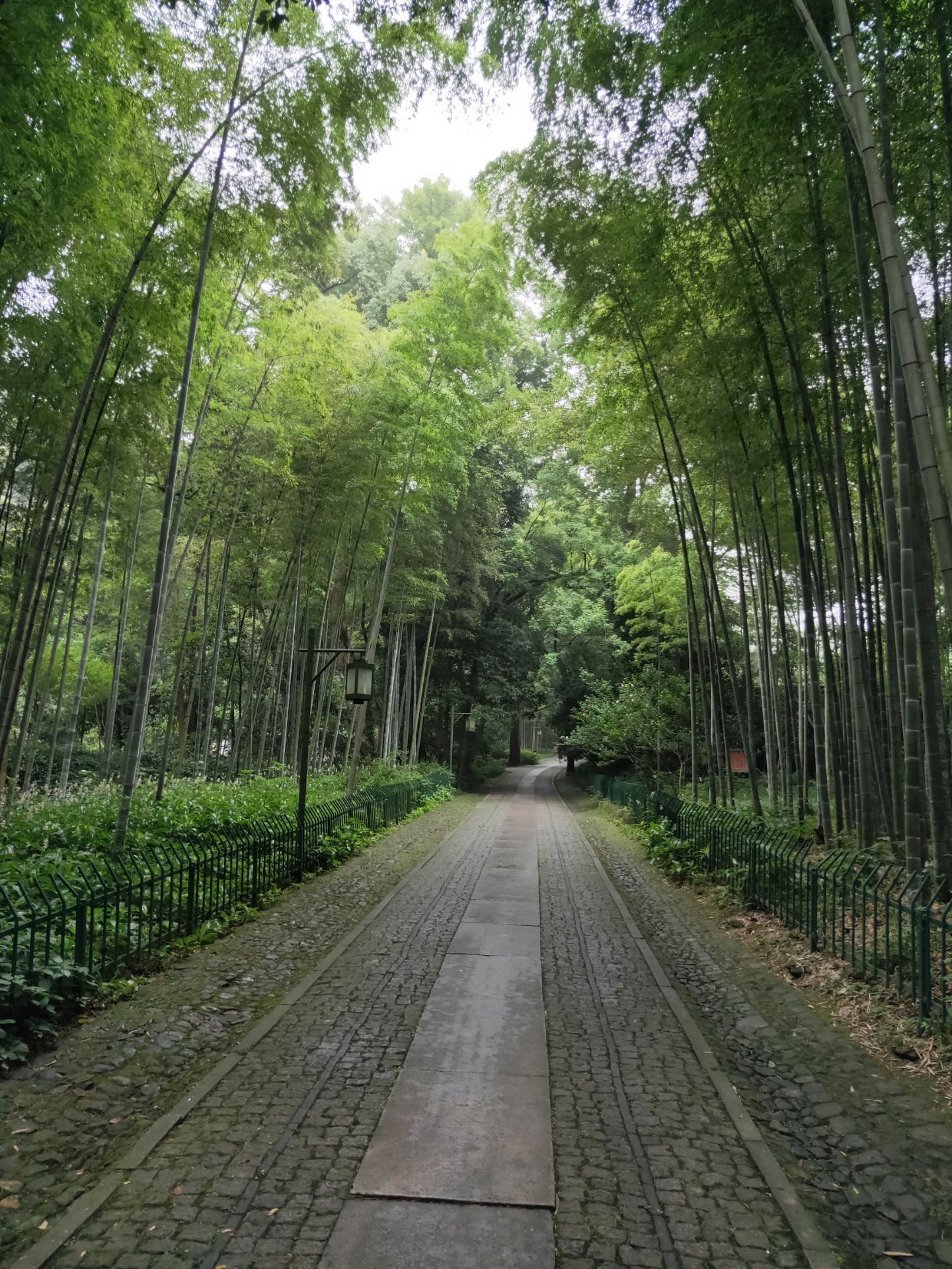 【携程攻略】杭州云栖竹径景点,来了那么多次杭州，还是第一次光顾这个新西湖十景之一的云栖竹径，据…