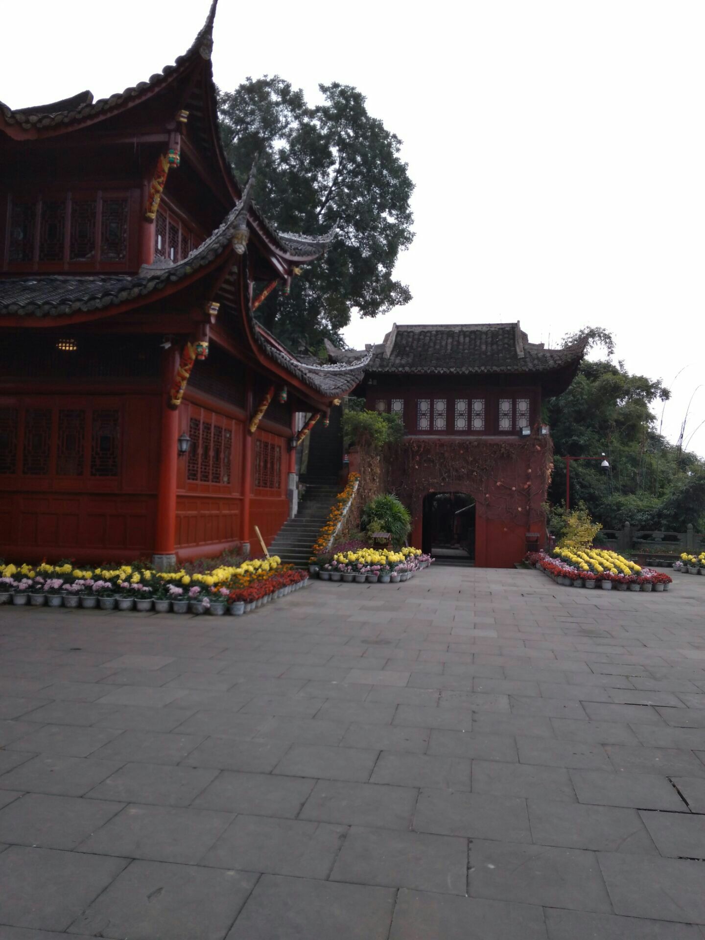 从乐山大佛山顶一路走到乌尤寺需要二个小时的山路,虽然山路都做了