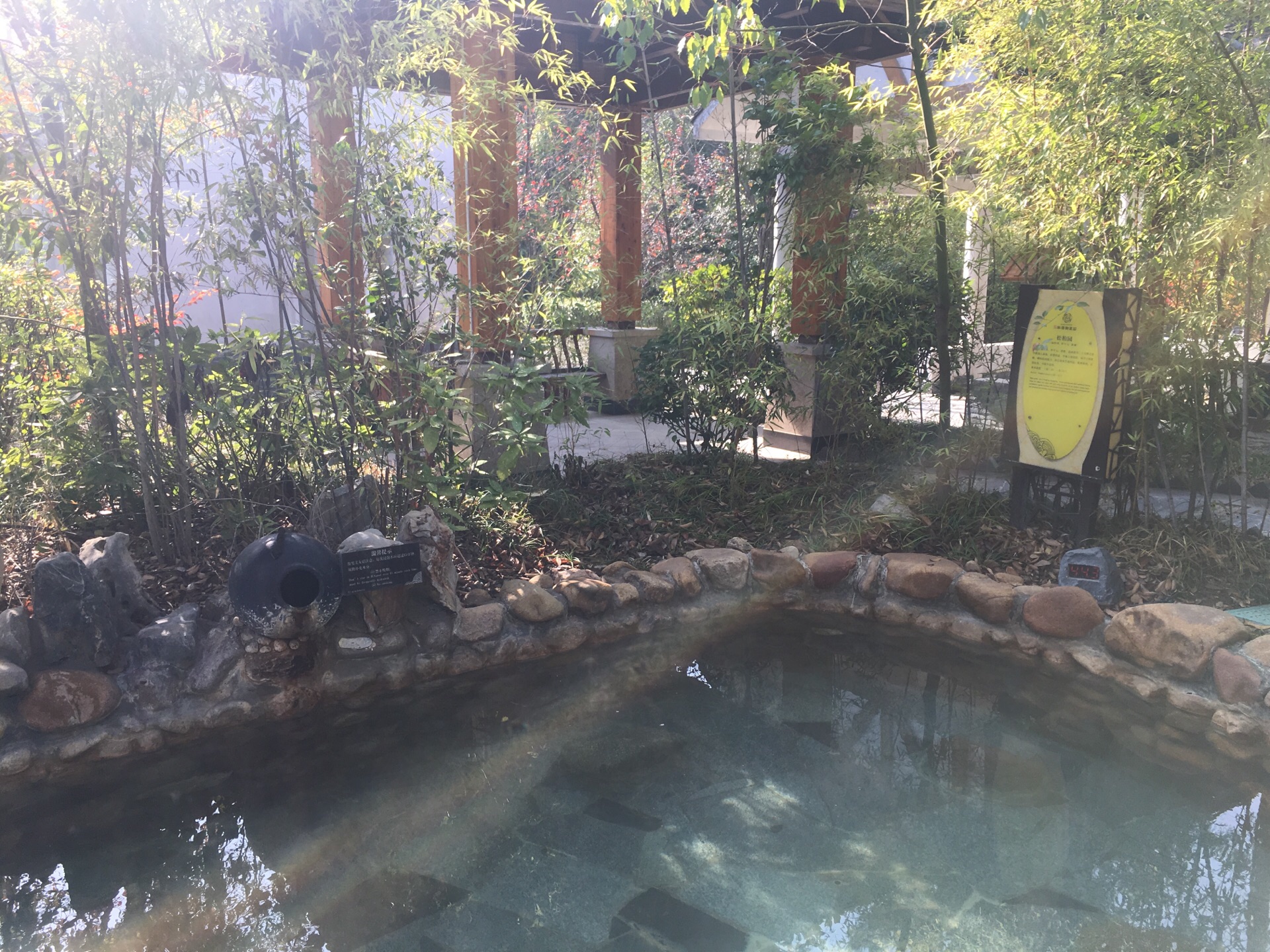 巢湖的半汤温泉非常出名听说以前是疗养院这里的温泉是真温泉不是烧的
