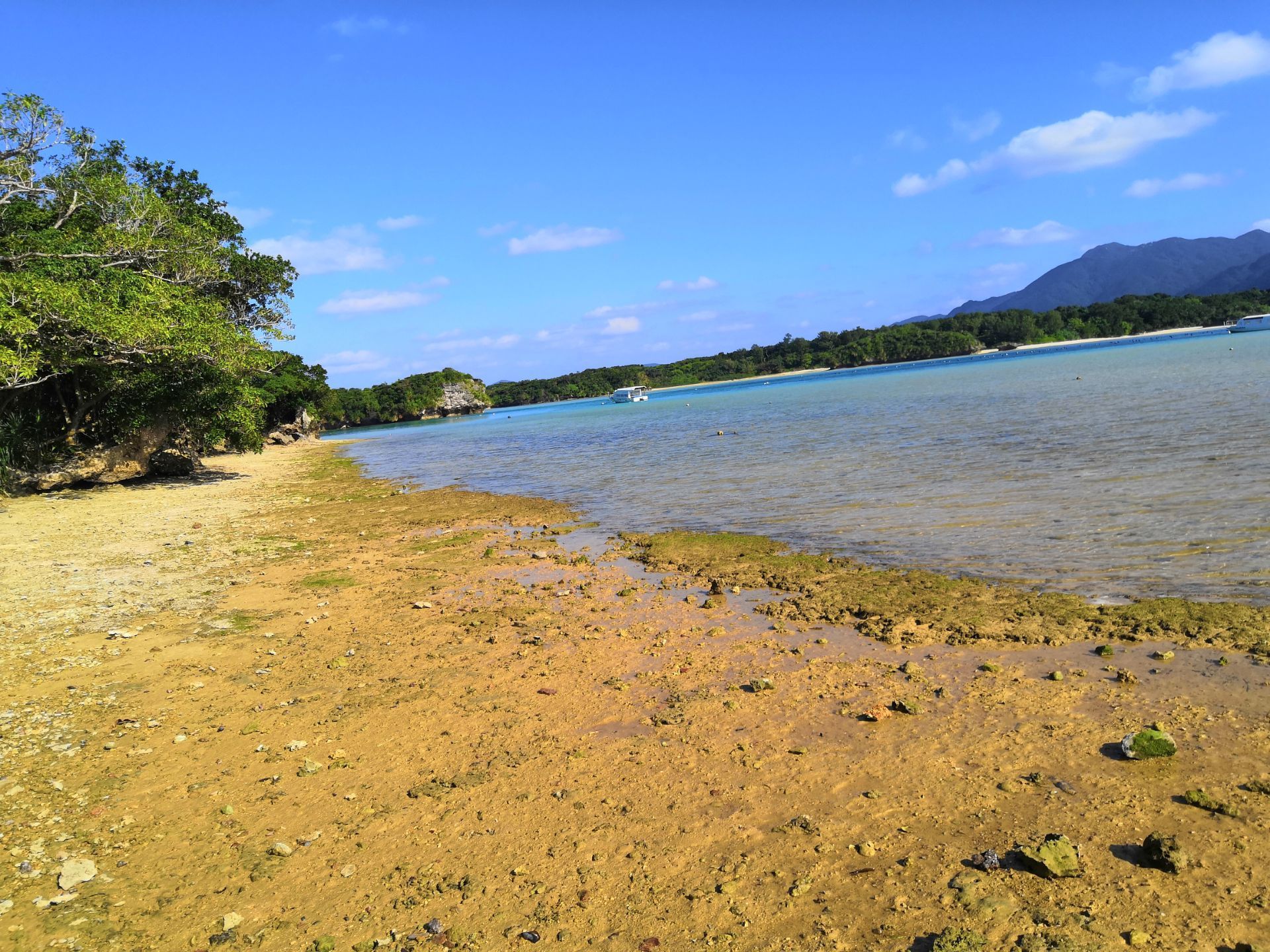 石垣川平湾攻略,石垣川平湾门票/游玩攻略/地址/图