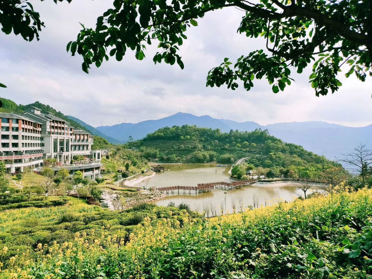 新兴禅域小镇攻略,新兴禅域小镇门票/游玩攻略/地址/图片/门票价格