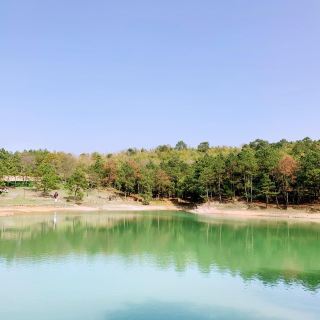 南京無想寺攻略-無想寺門票價格多少錢-團購票價預定優惠-景點地址