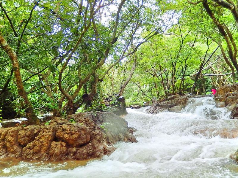 黔南水上森林攻略-水上森林门票价格多少钱-团购票价预定优惠-景点