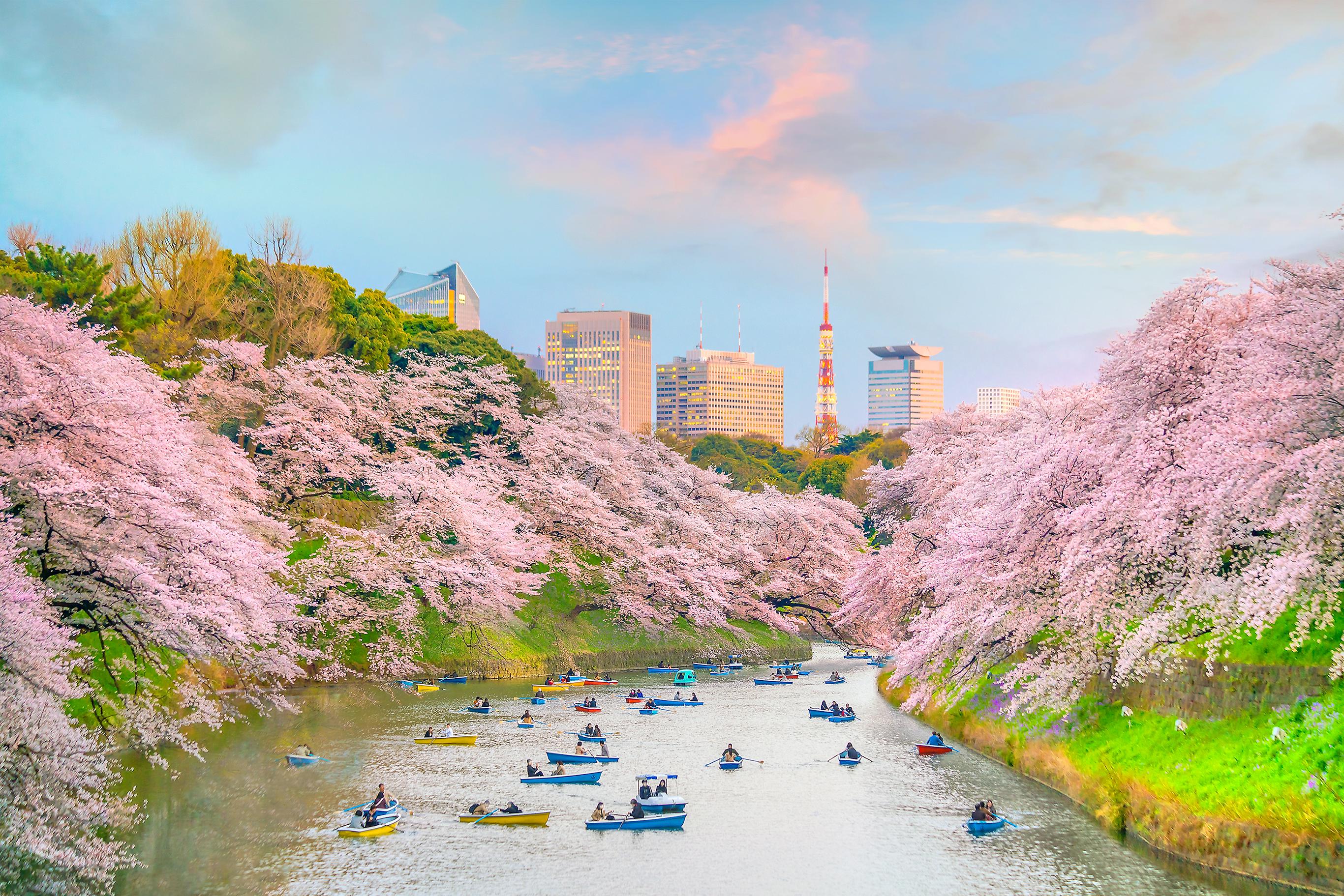 東京北之丸公園攻略,東京北之丸公園門票/遊玩攻略/地址/圖片/門票