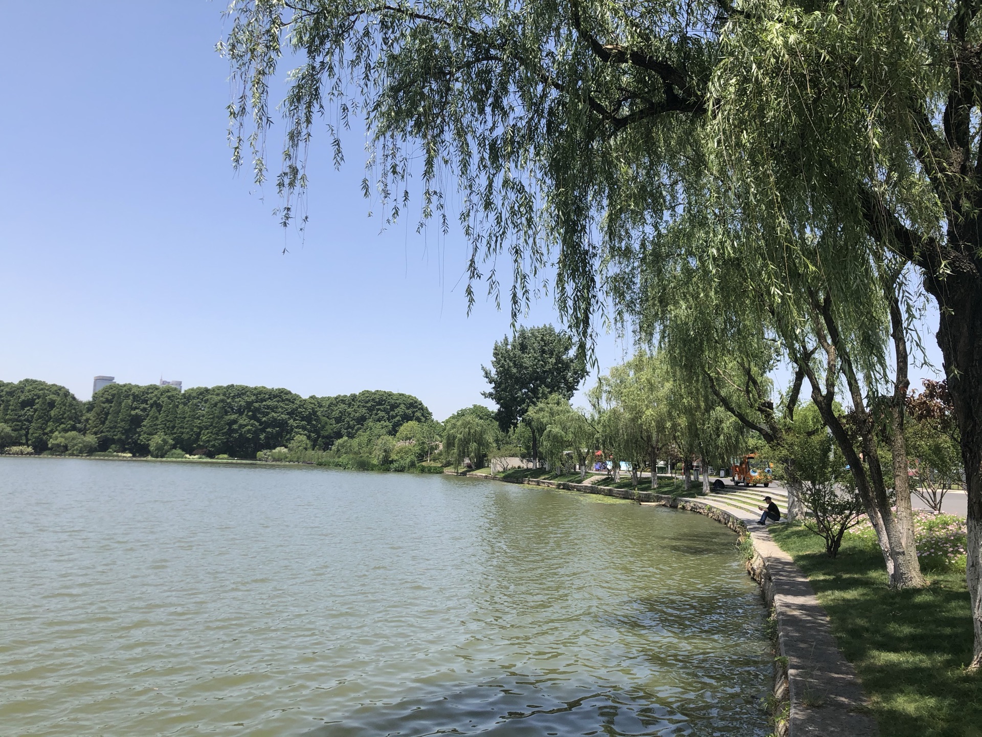 【携程攻略】南京玄武湖景点,南京玄武湖公园夏天的景色.非常漂亮.