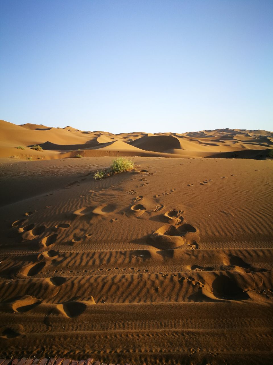 庫木塔格沙漠旅遊景點攻略圖