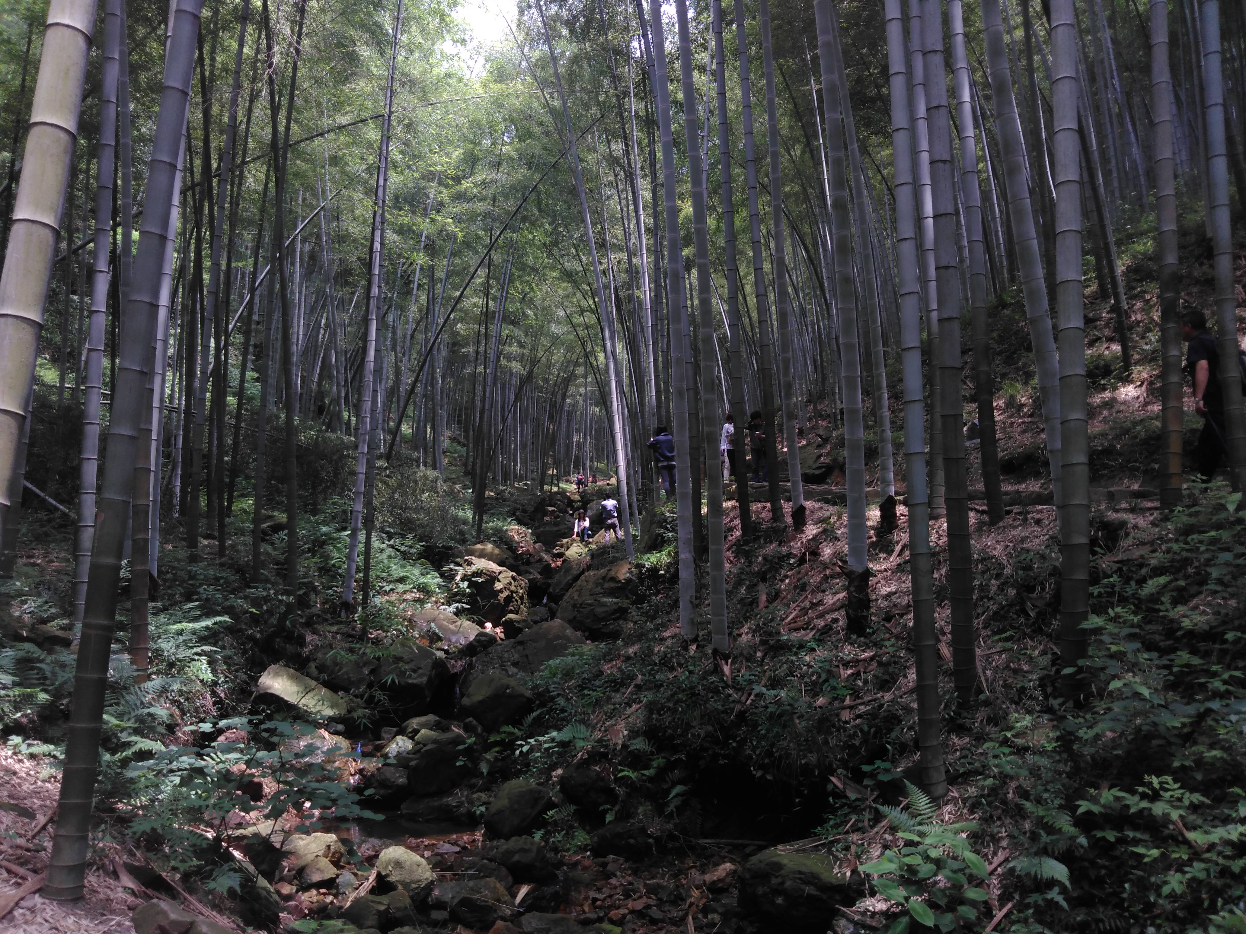 宜興竹海旅遊景點攻略圖