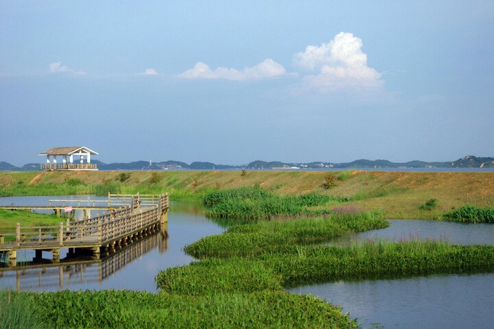 鄱陽湖國家溼地公園