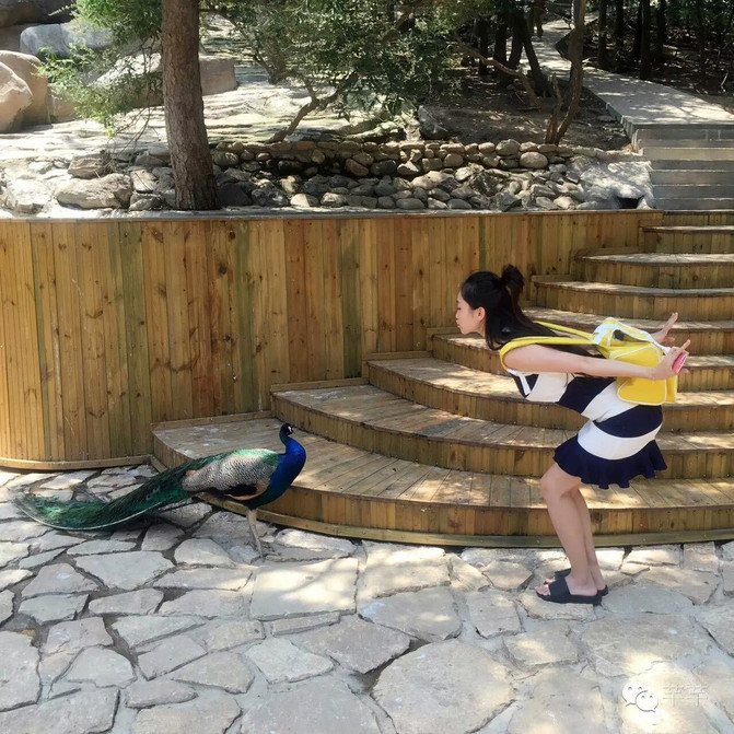 河北.秦皇岛(配美景、美女图,更多游记持续更新