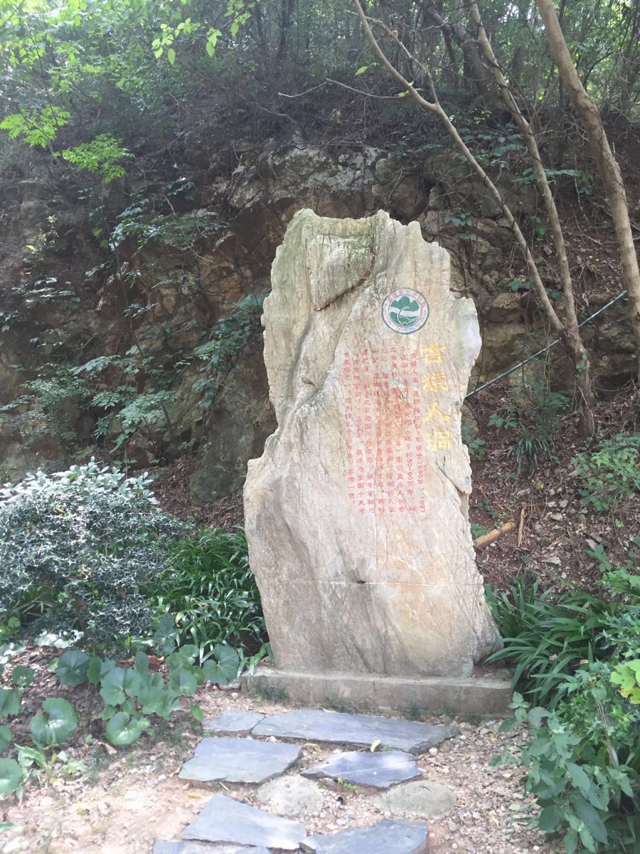 2019古猿人洞_旅游攻略_门票_地址_游记点评,汤山旅游景点推荐 去