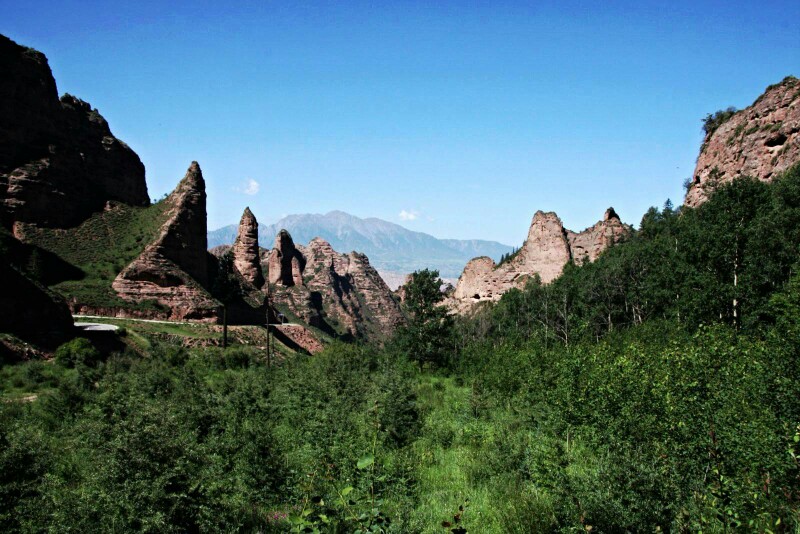 坎布拉國家森林公園