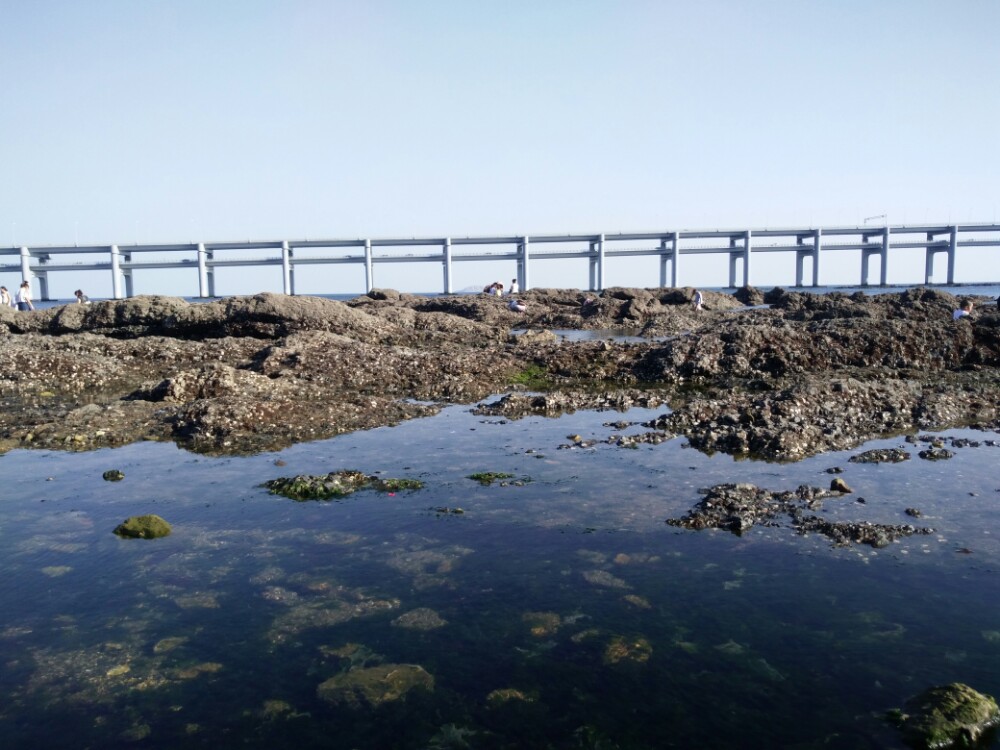2023黑石礁-旅游攻略-门票-地址-问答-游记点评,大连旅游旅游景点推荐