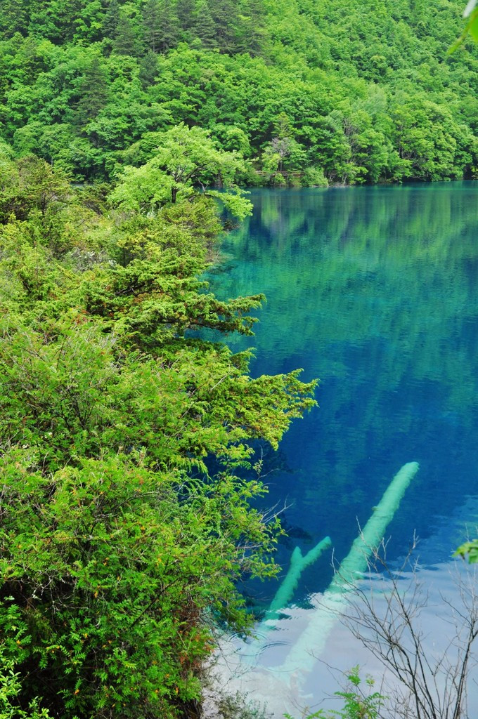 稱火花池,海拔2187米,深9米,位於四川阿壩州九寨溝雙龍海與臥龍海之間