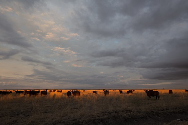 100l070000002slowA24B_R_600_10000_Q90.jpg?proc=autoorient