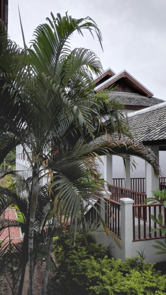 老挝自由行…酒店篇