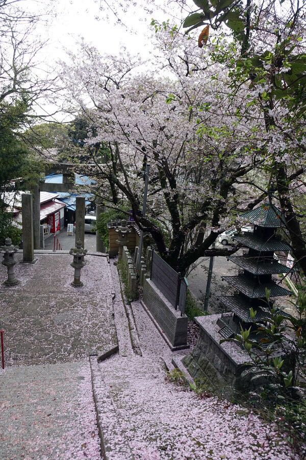 【携程攻略】东京爱宕神社景点,这个神社在高地的河边上